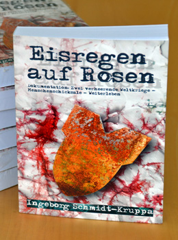 Eisregen auf Rosen